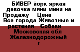 БИВЕР йорк яркая девочка мини мини на Продажу! › Цена ­ 45 000 - Все города Животные и растения » Собаки   . Московская обл.,Железнодорожный г.